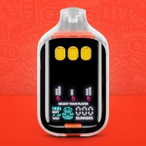 F L A R E O N 🔥 Boutiq Switch V5 SZN